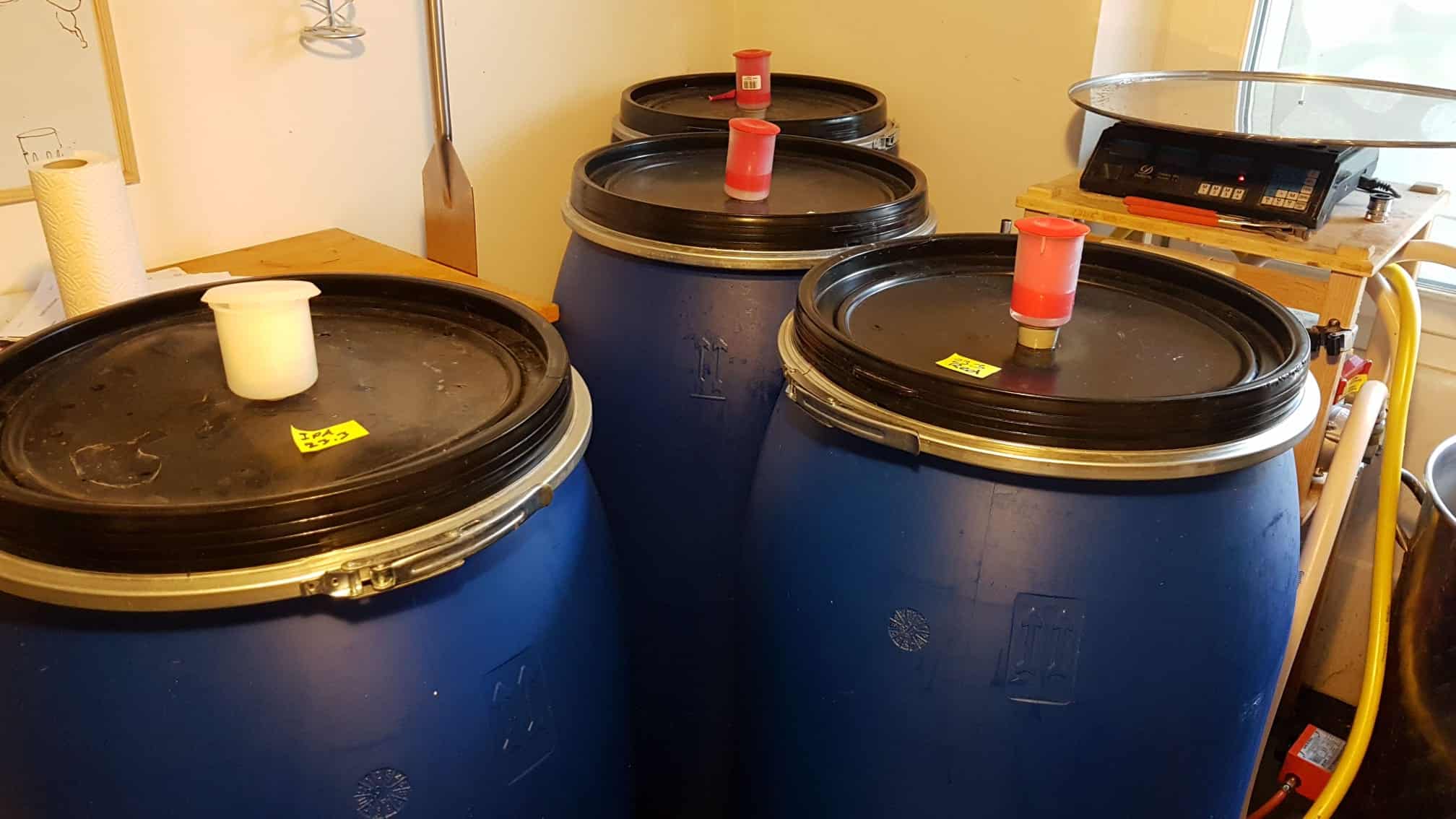 Les premières cuves de fermentation artisanales de BLZ